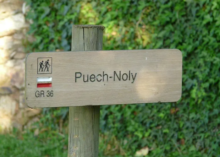 Couette-café D'hôtes Puech Noly